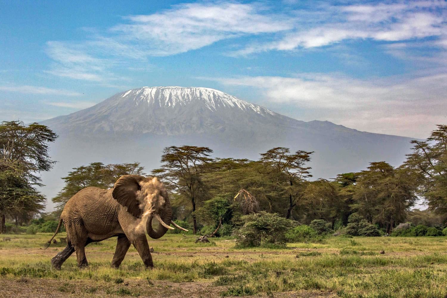 Amboseli & Southern Kenya