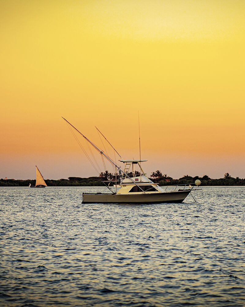 040 Peponi