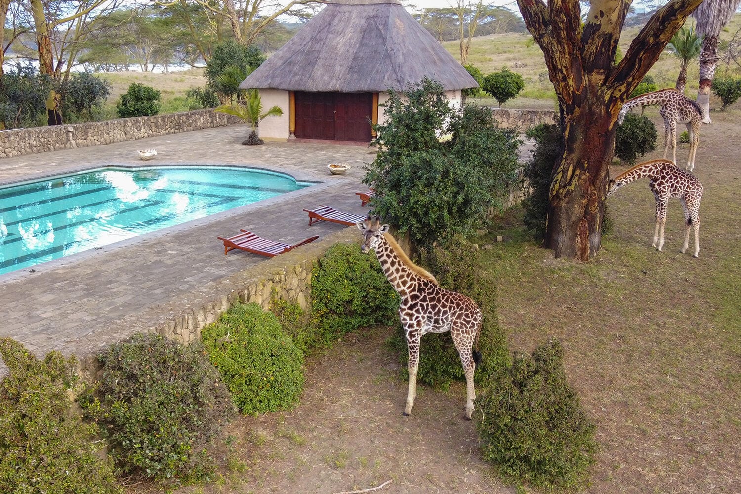 046 Hippo Point