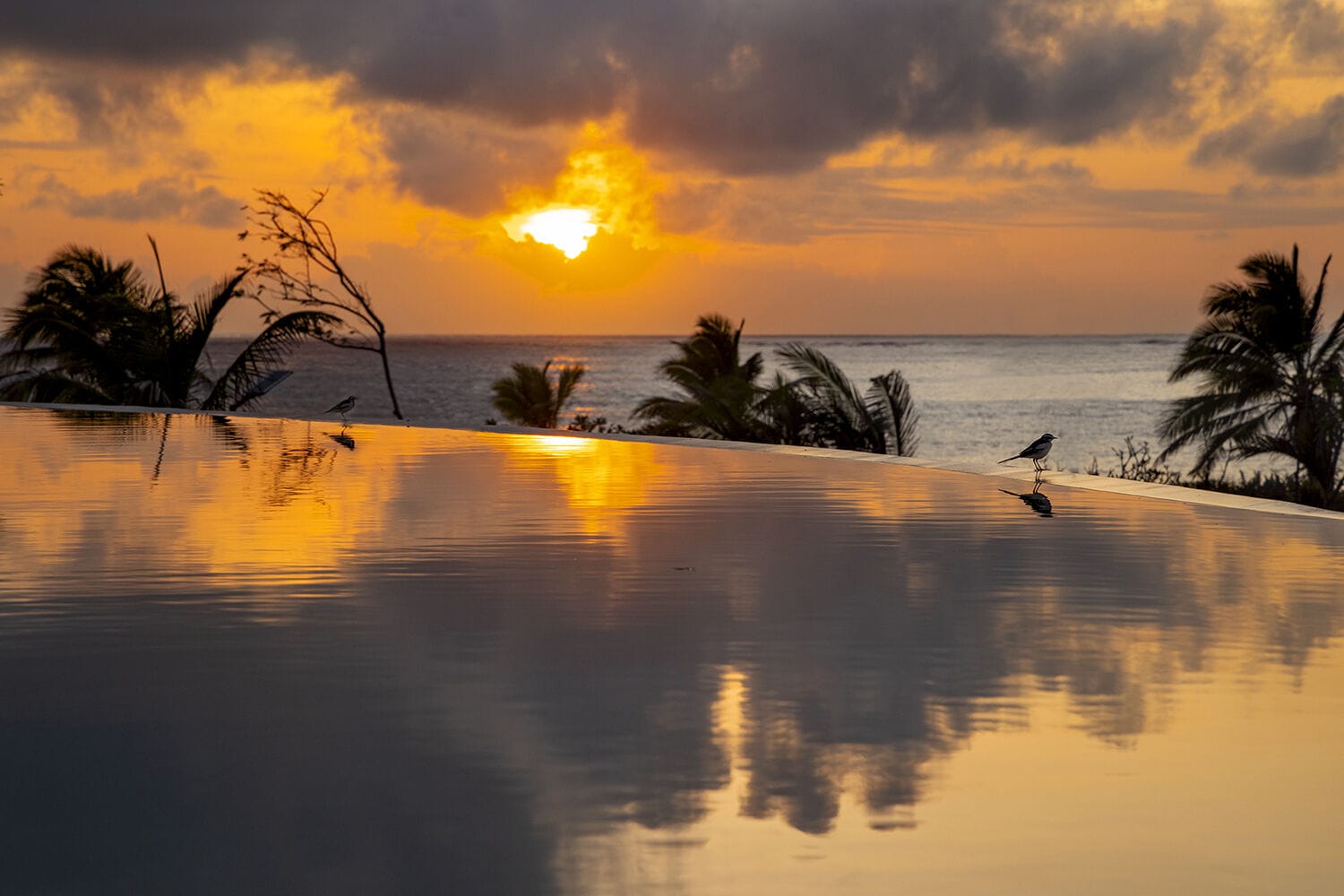 025 Beach Palazzo