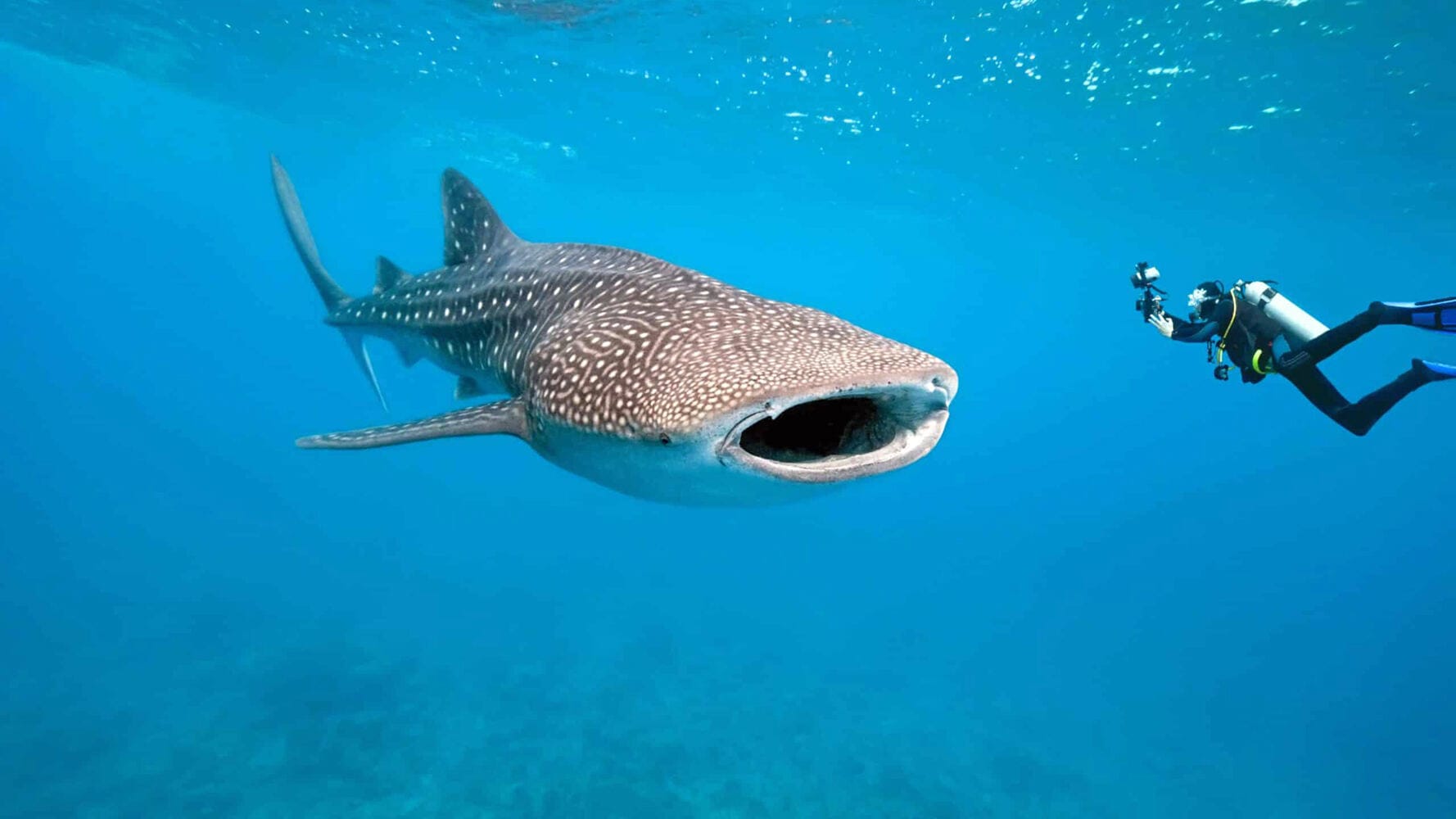 006 Thanda Island