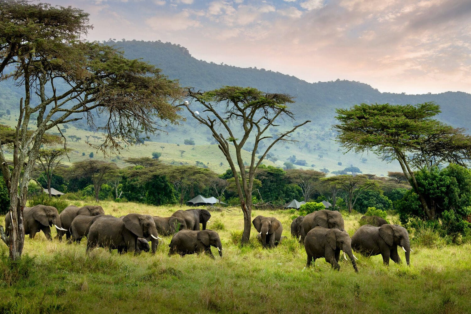 008 Angama Safari Camp