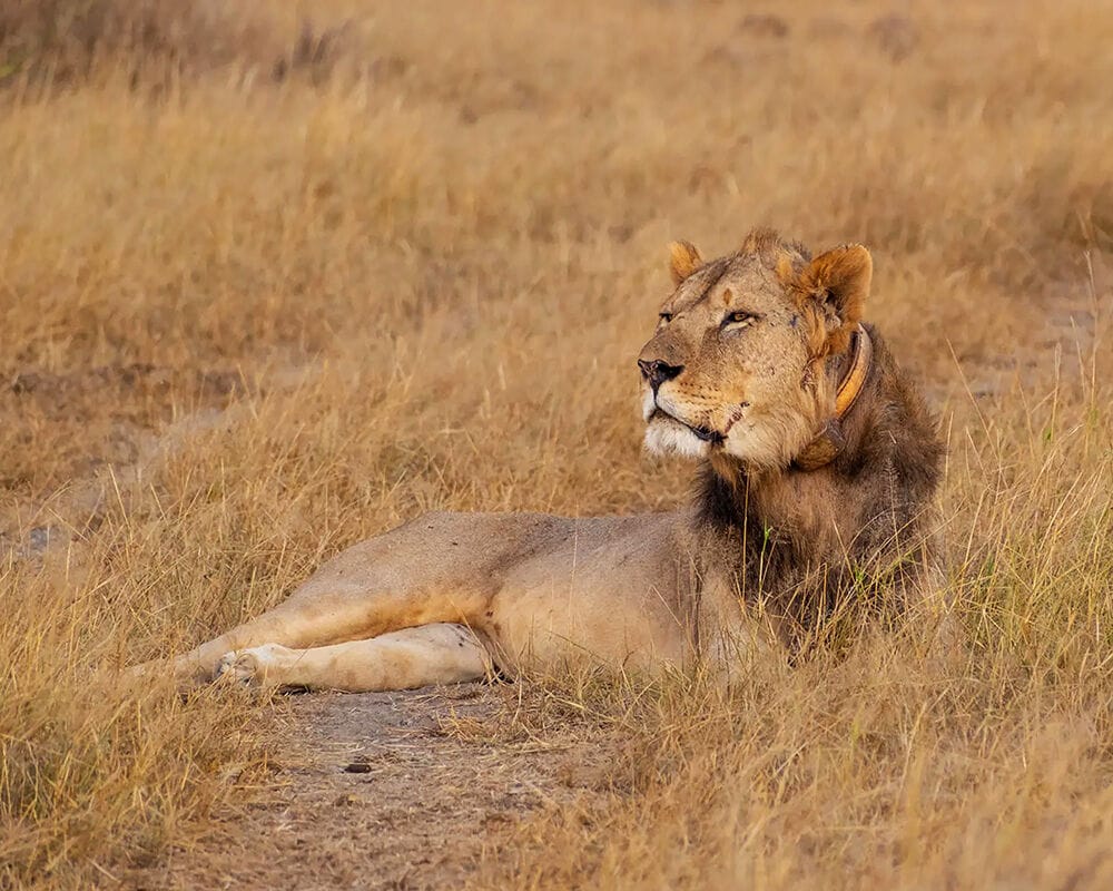 009 Angama Amboseli