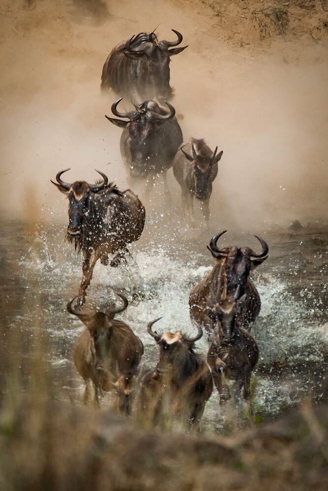 009 Angama Mara