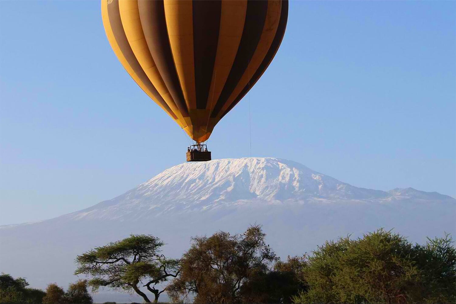 024 Angama Amboseli