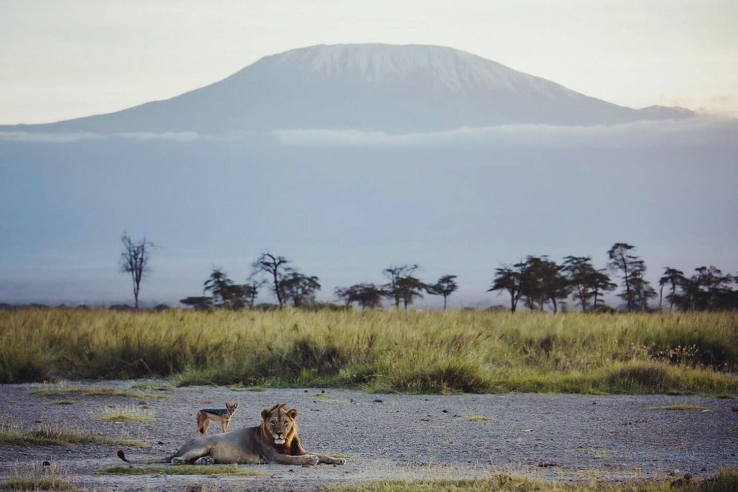 029 Angama Amboseli
