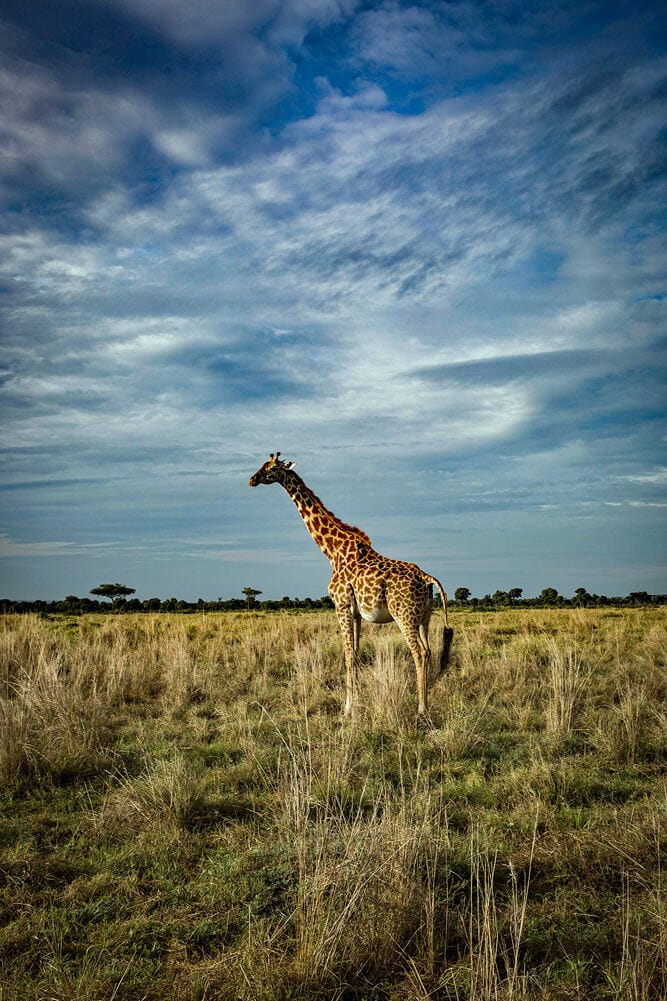 029 Angama Mara