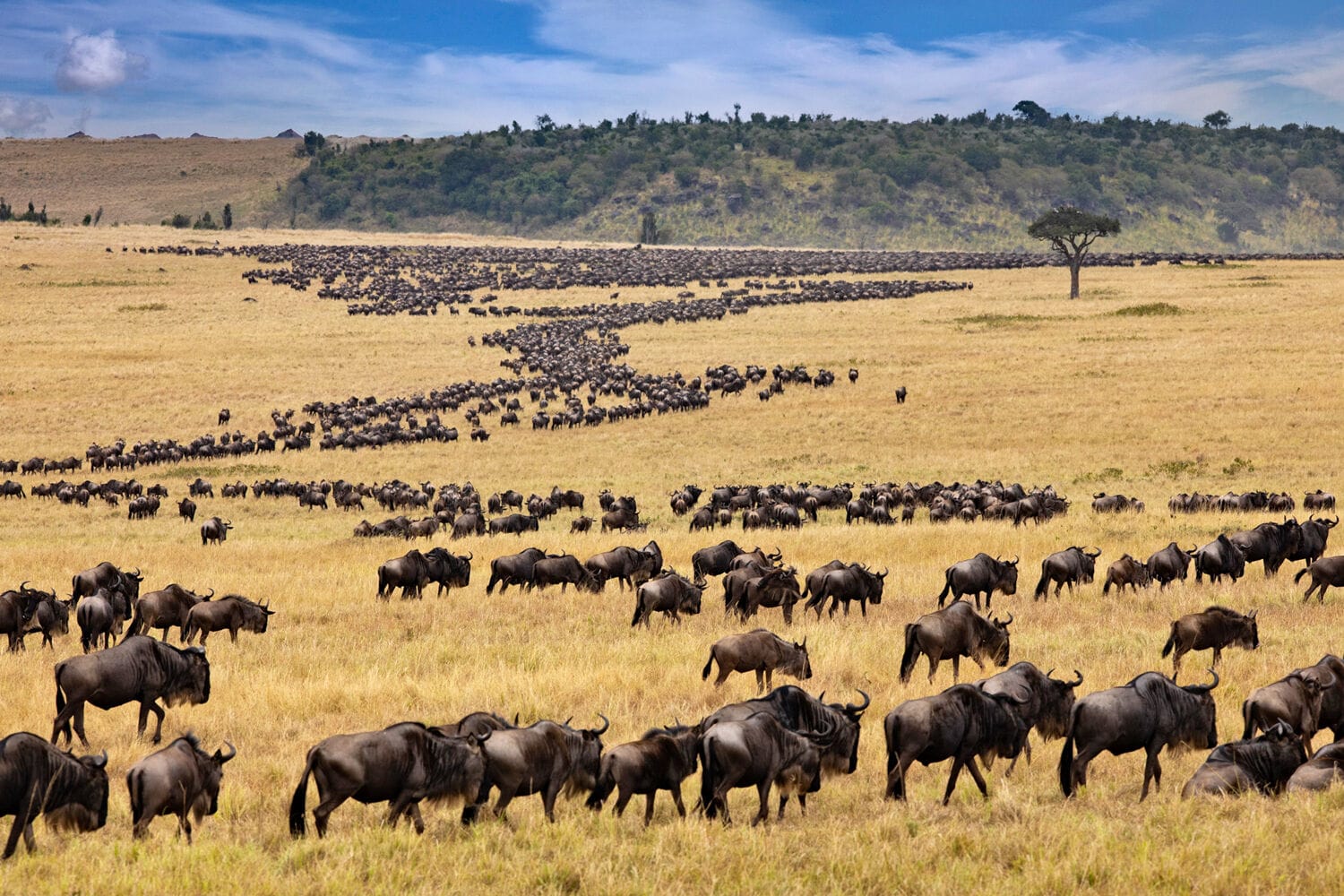 036 Angama Safari Camp