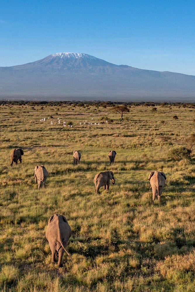 042 Angama Amboseli