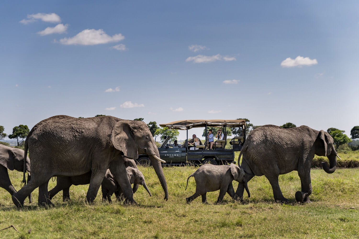 043 Angama Mara