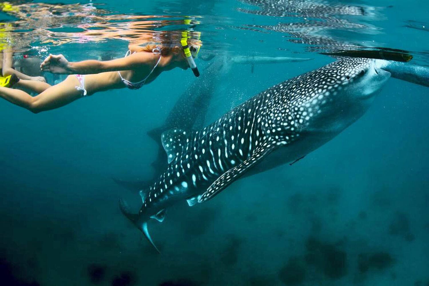 043 Thanda Island