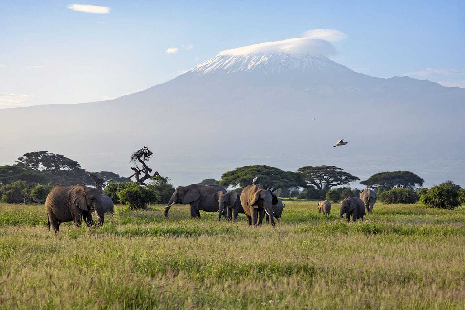 055 Angama Amboseli