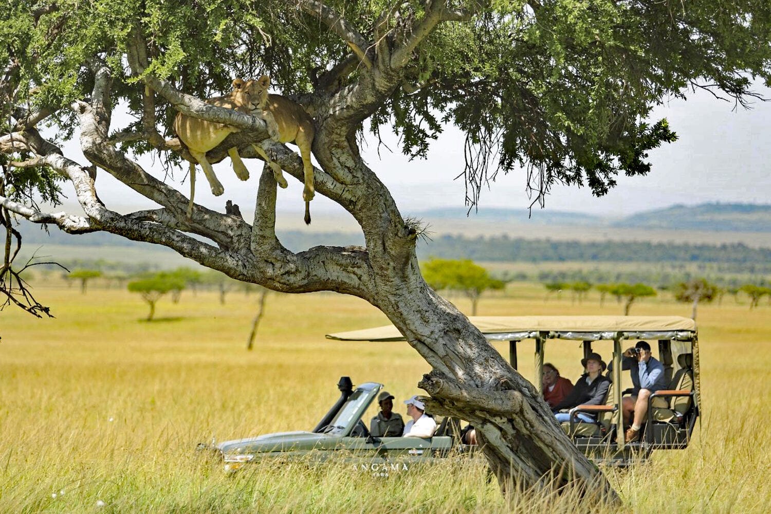 061 Angama Mara