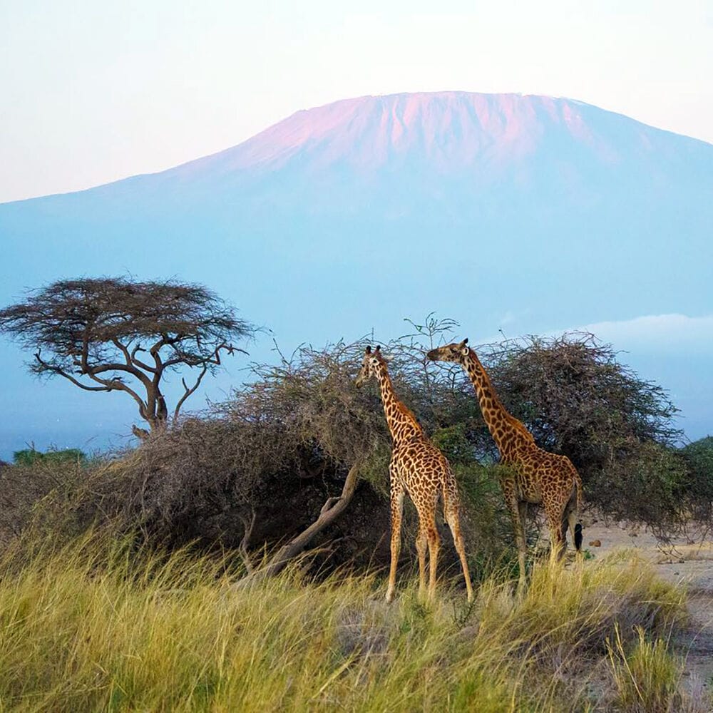 069 Angama Amboseli