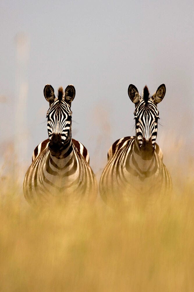 076 Angama Mara