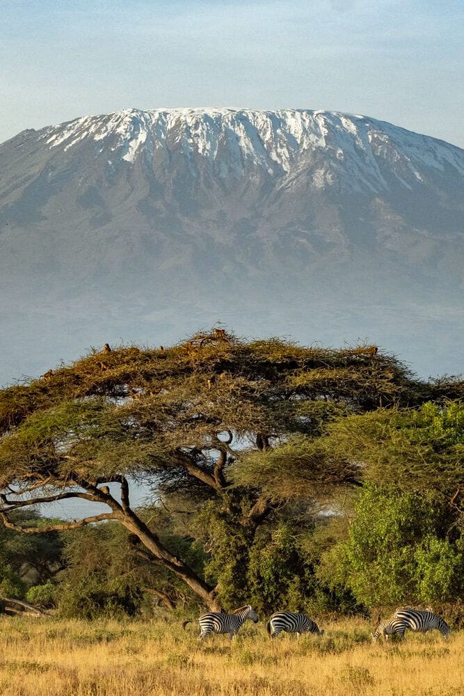 077 Angama Ambsoseli