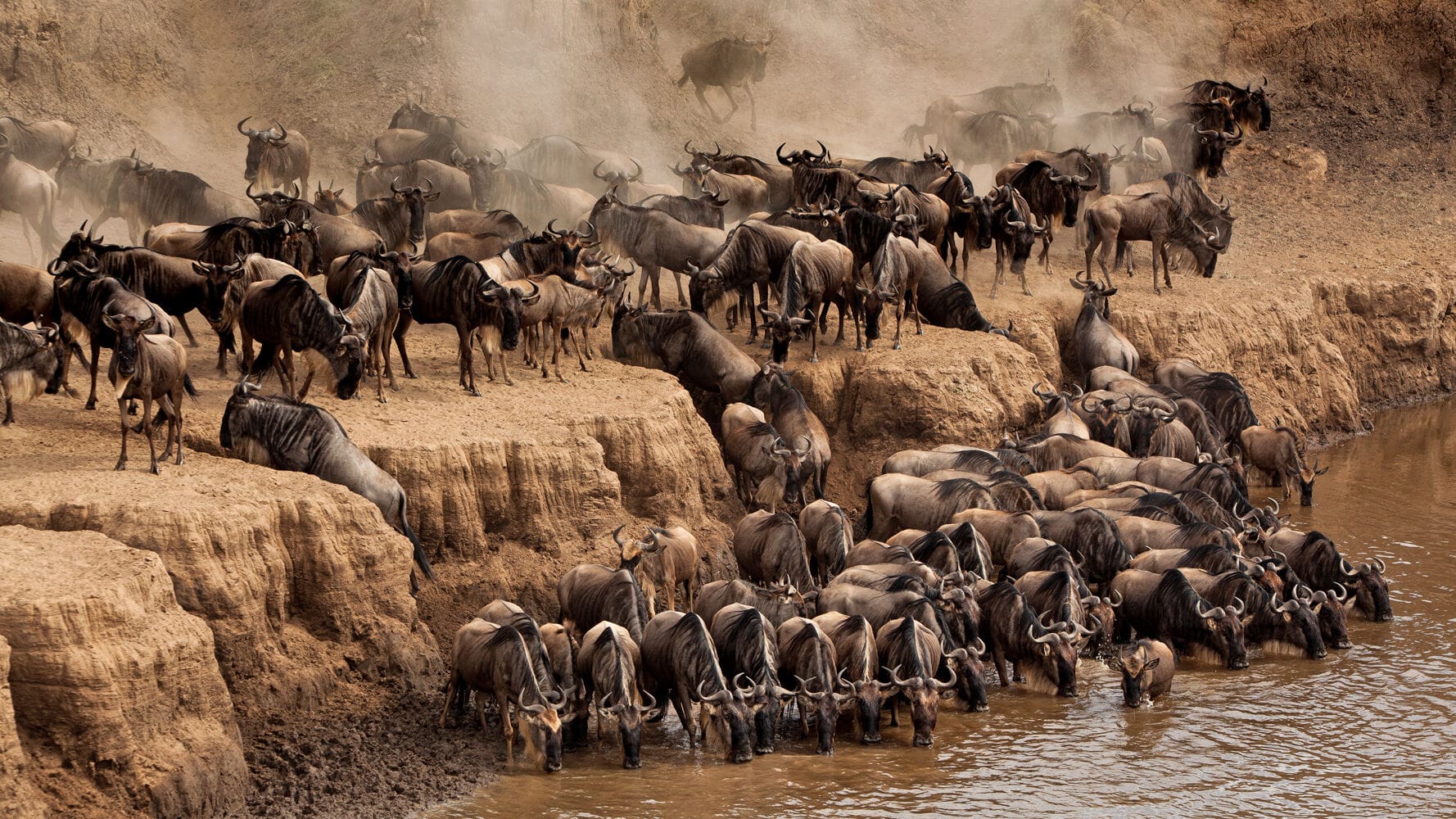 088 Angama Safari Camp