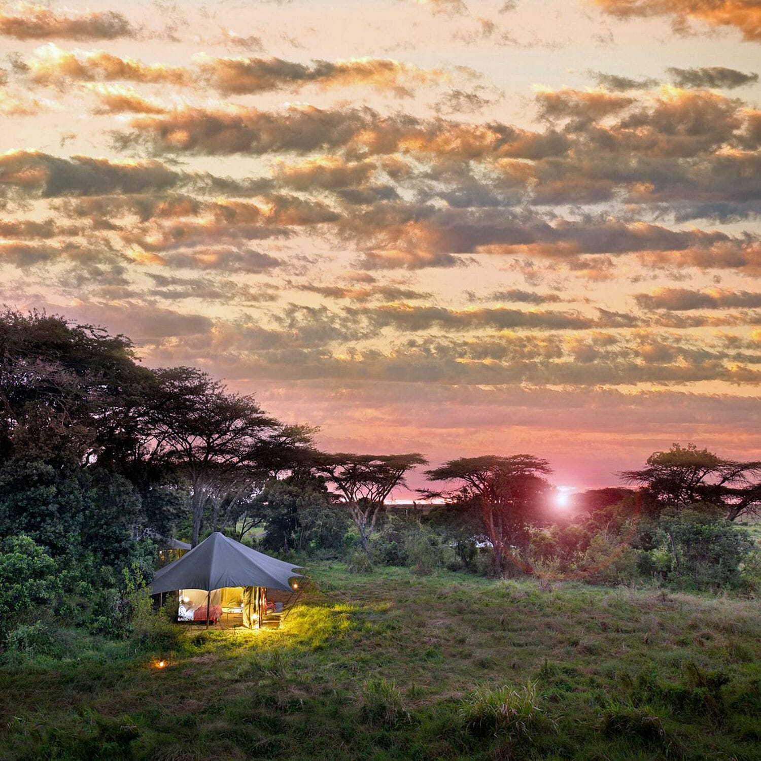089 Angama Safari Camp