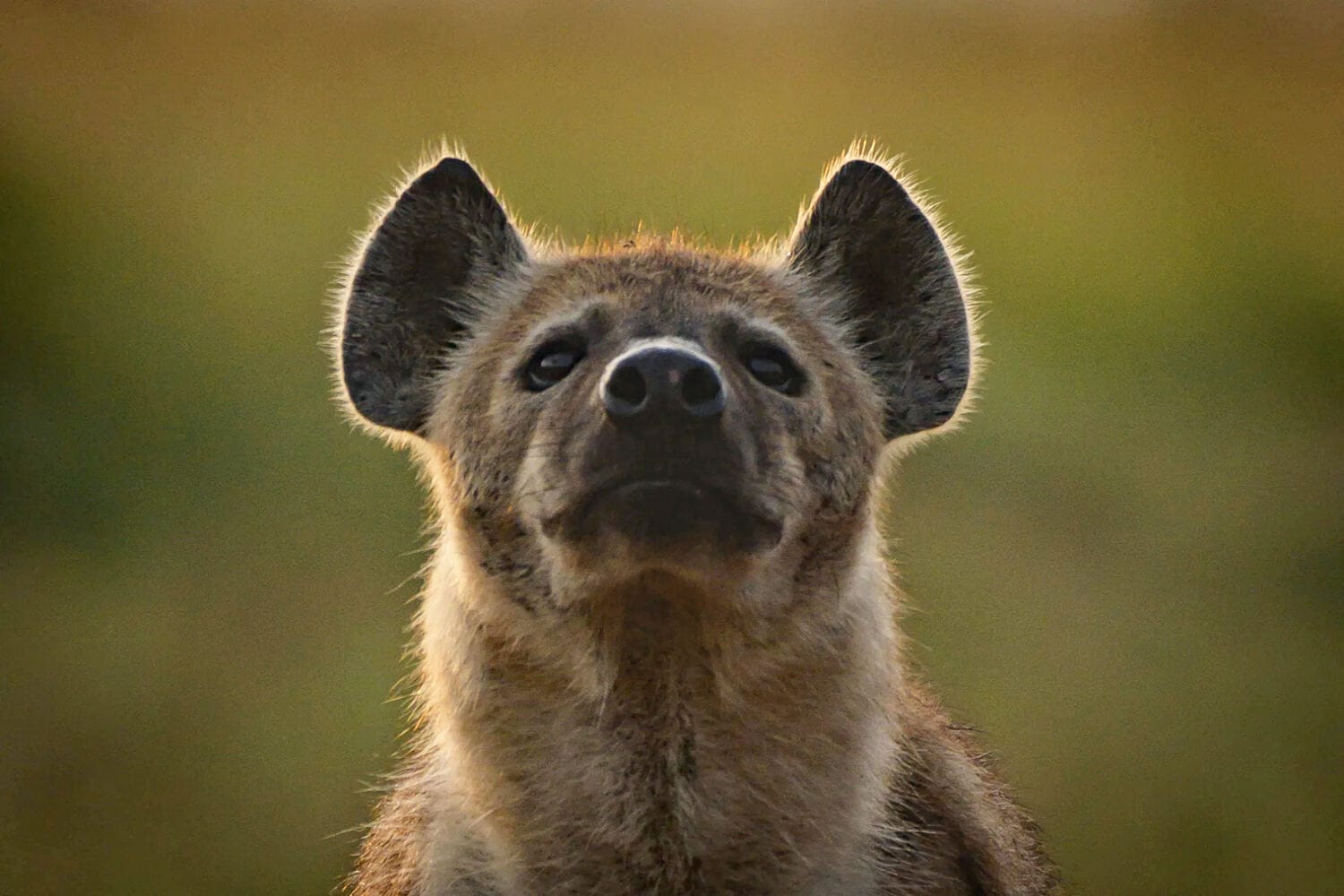 109 Angama Mara