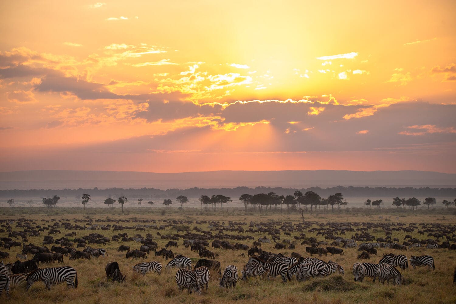 111 Angama Mara