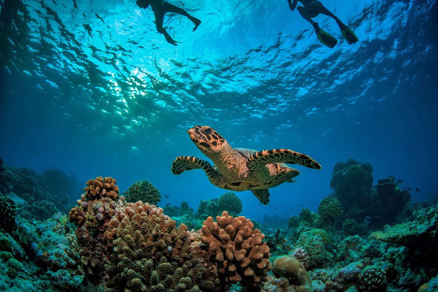 117 Thanda Island