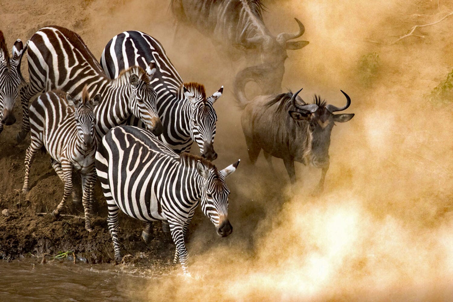 121 Angama Mara