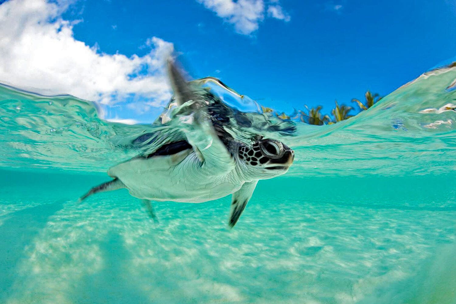 127 Thanda Island