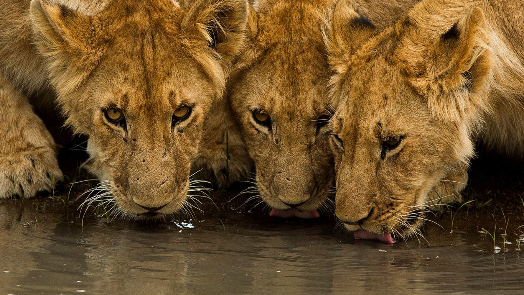 129 Angama Mara