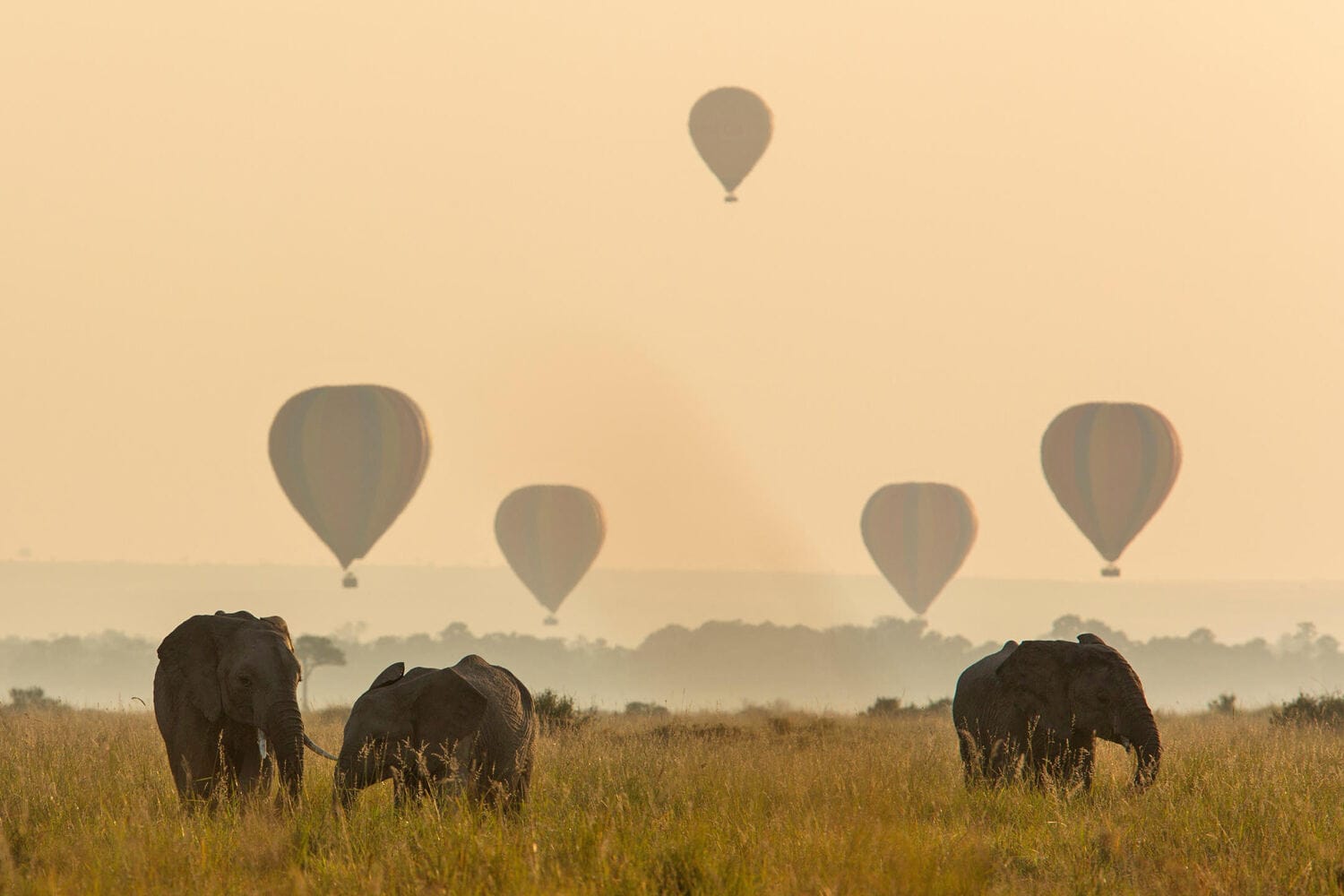 145 Angama Mara