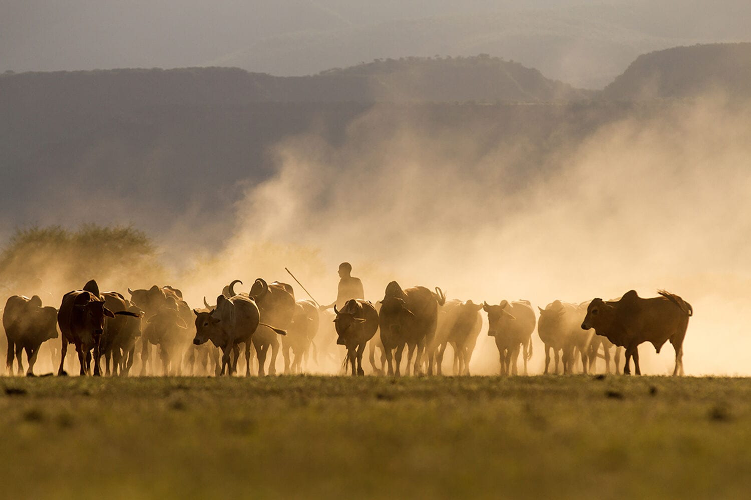 014 Shompole Wilderness
