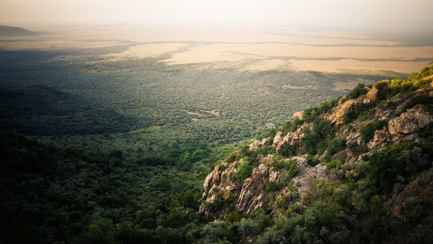 015 Wild Hill