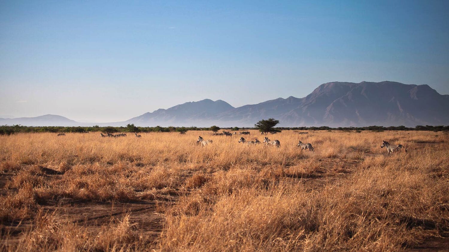 016 Shompole Wilderness