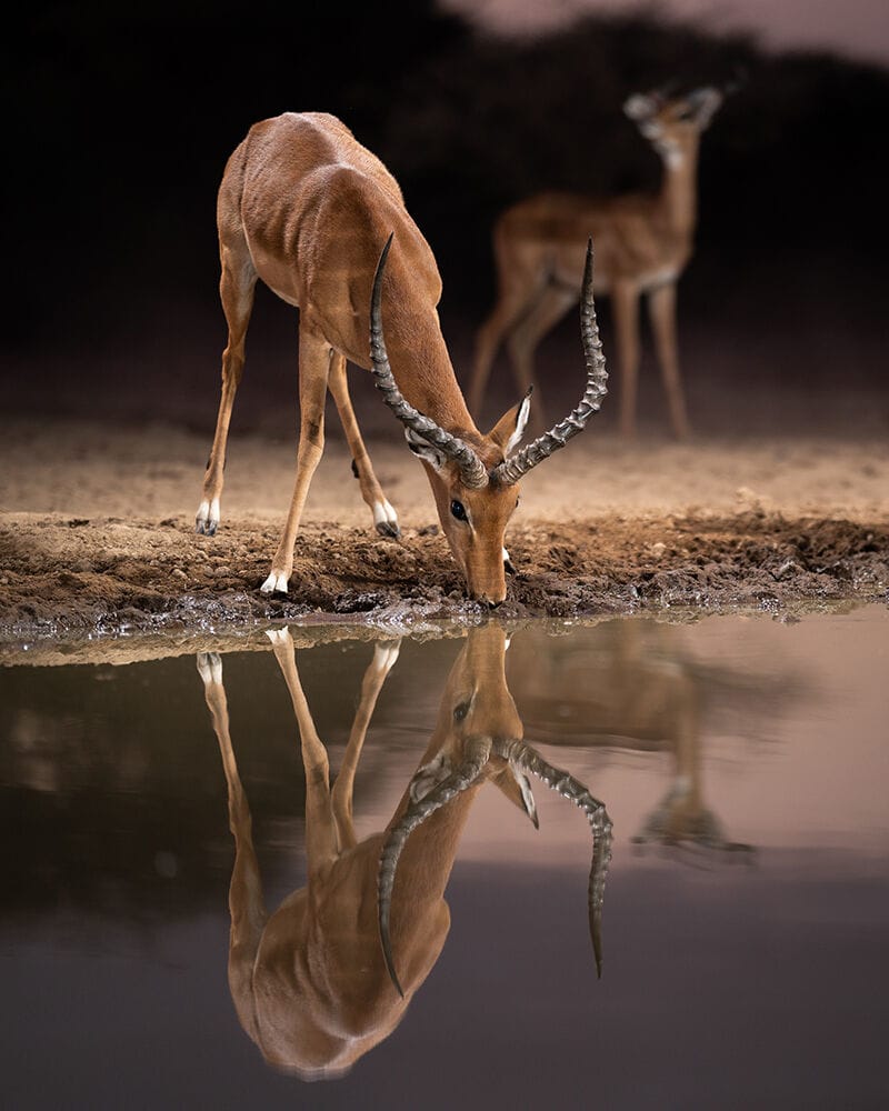 017 Shompole Wilderness
