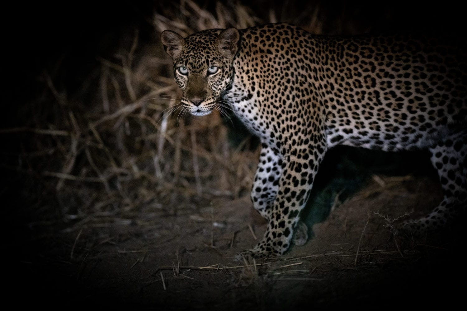 029 Shompole Wilderness