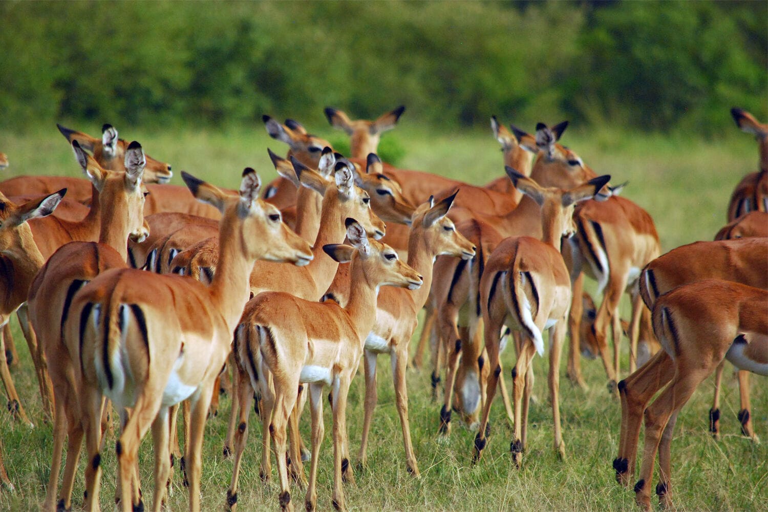 031 Wild Hill