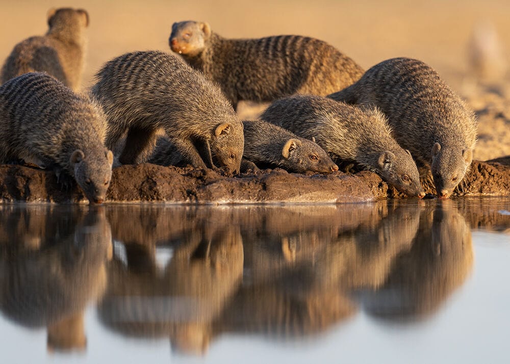 041 Shompole Wilderness