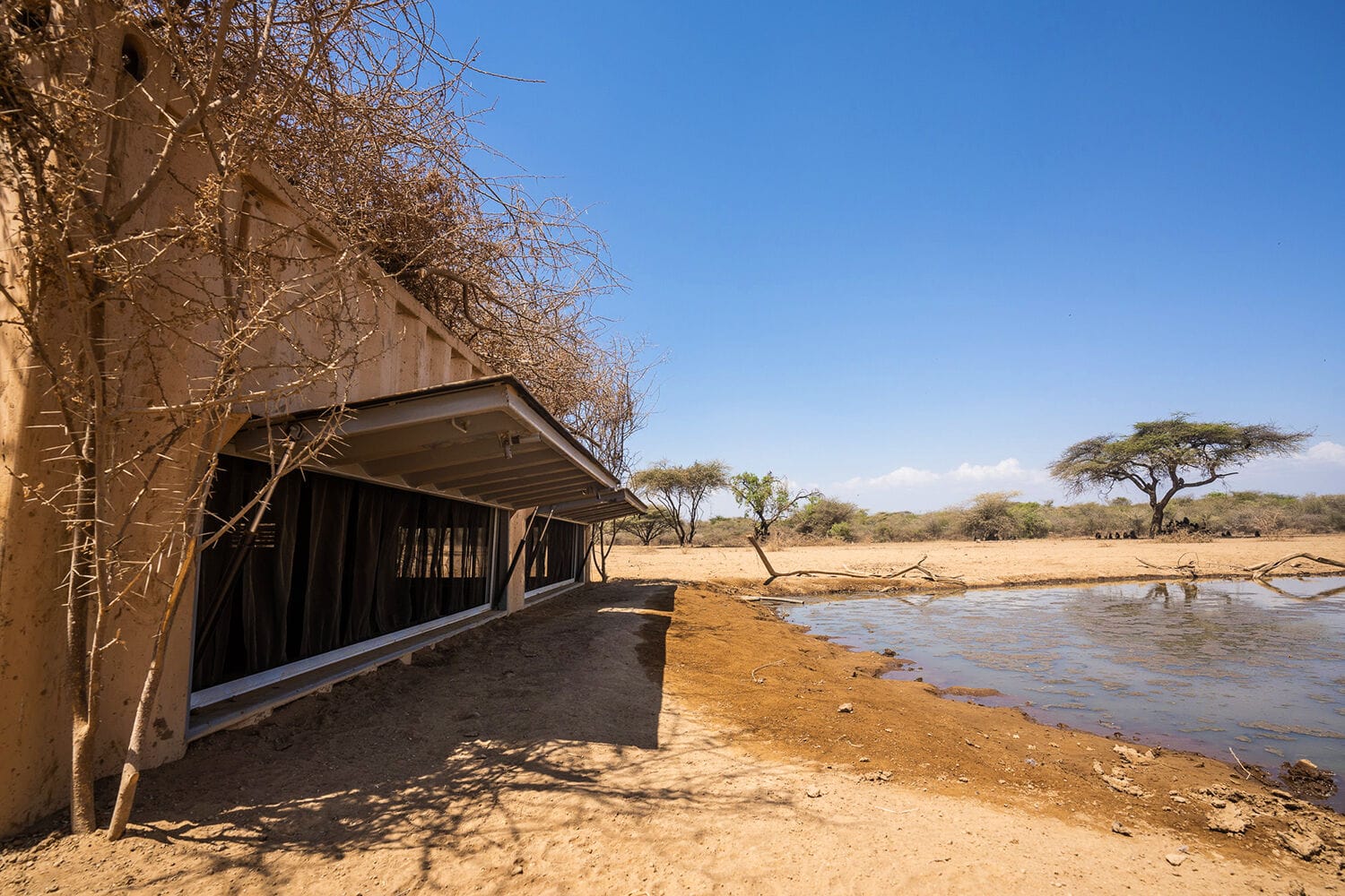 043 Shompole Wilderness