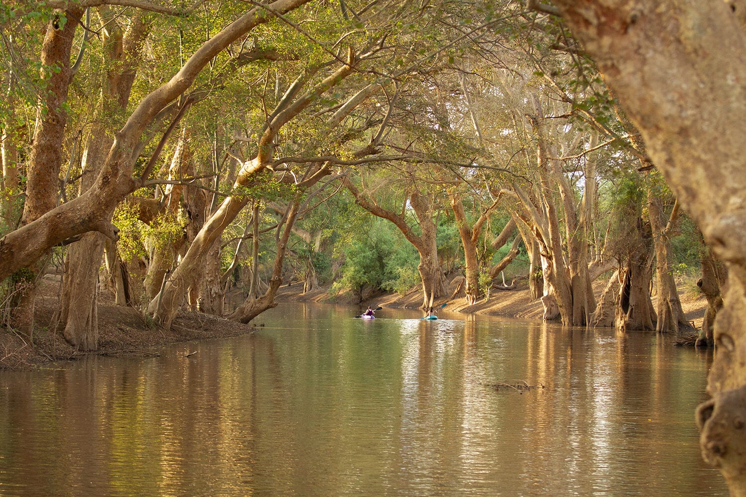 046 Shompole Wilderness