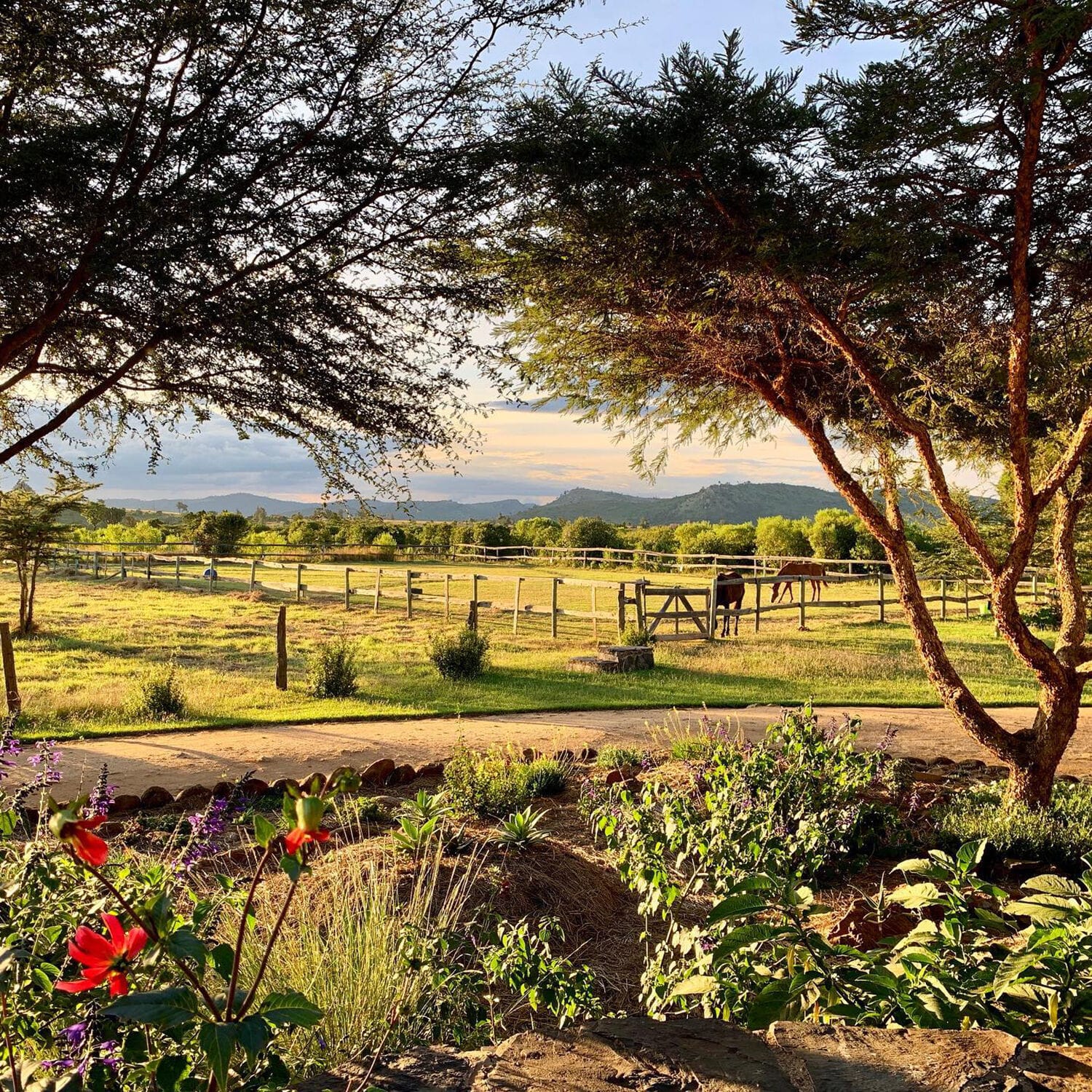 035 Matambezi House