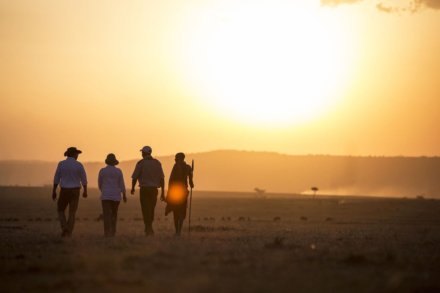 Little Elephant Pepper Camp