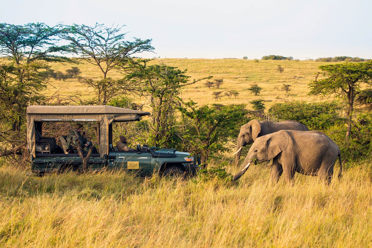 003 Mara Plains